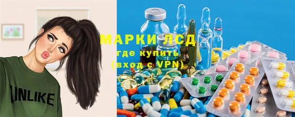 крисы Армянск