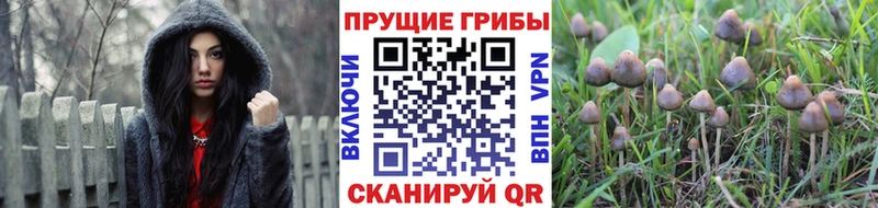 Псилоцибиновые грибы ЛСД  блэк спрут зеркало  Похвистнево 
